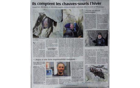 Un adhérent de l'ASCCHU compte les chauves-souris !